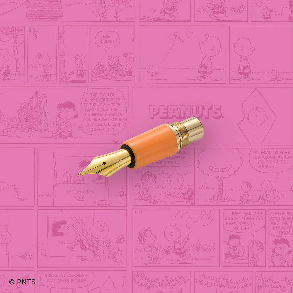 Esterbrook x Peanuts 75th Anniversary Estie Sally Fountain Pen