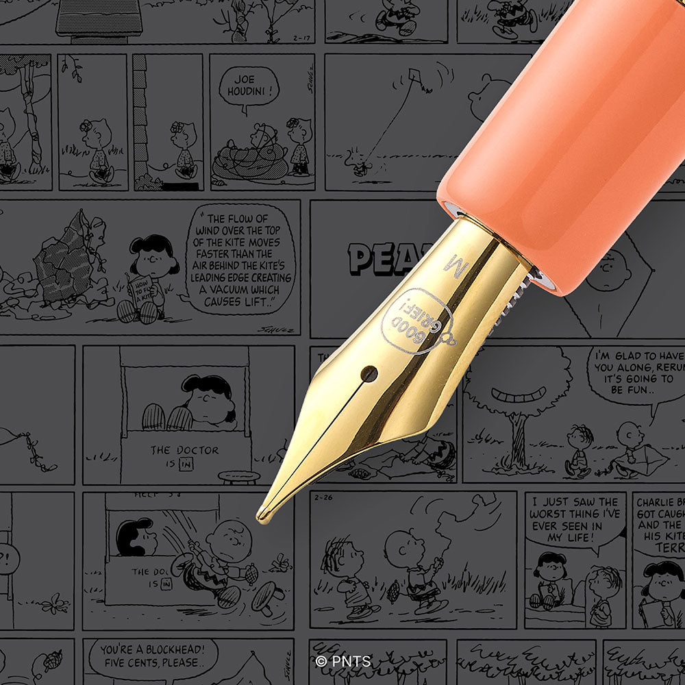 Esterbrook x Peanuts 75th Anniversary Estie Sally Fountain Pen
