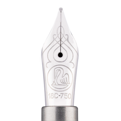 Pelikan Special Edition Souveran 805 Metal Sleeve Fountain Pen