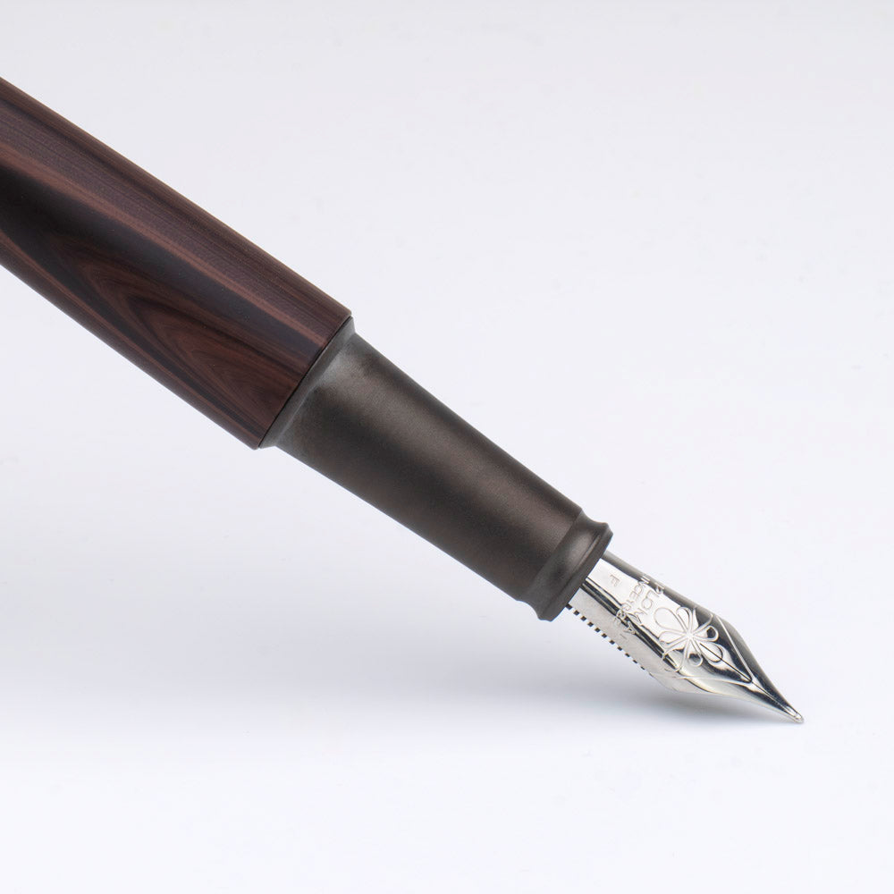 Diplomat Aero Black Forest Fountain Pen