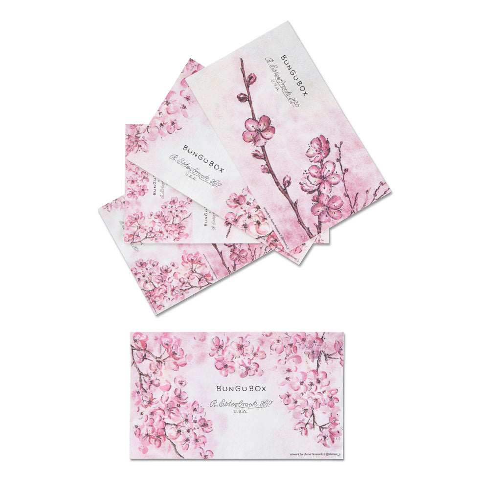 Esterbrook x BUNGU Box Kachofugetsu Cherry Blossom Fountain Pen