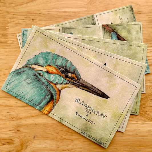 Esterbrook x BUNGU Box Kachofugetsu Blotter Paper Kingfisher Edition