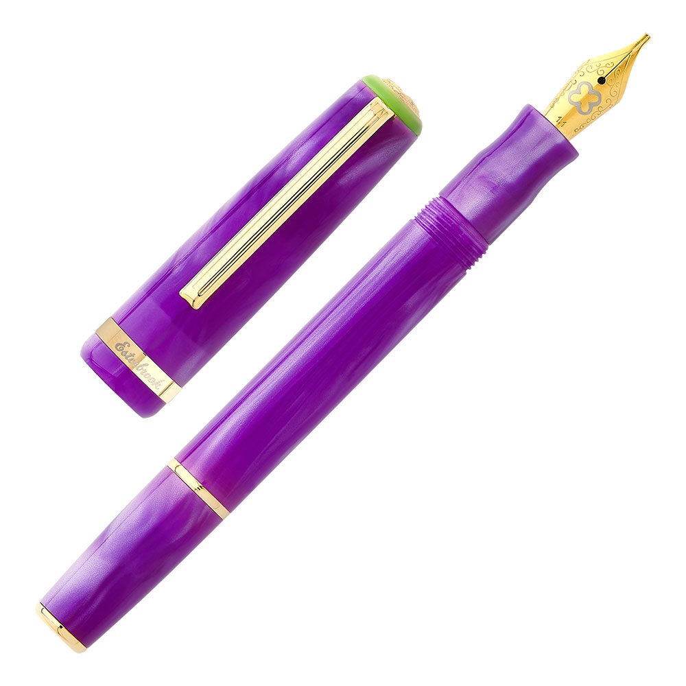 Esterbrook JR Paradise Fountain Pen Purple Passion